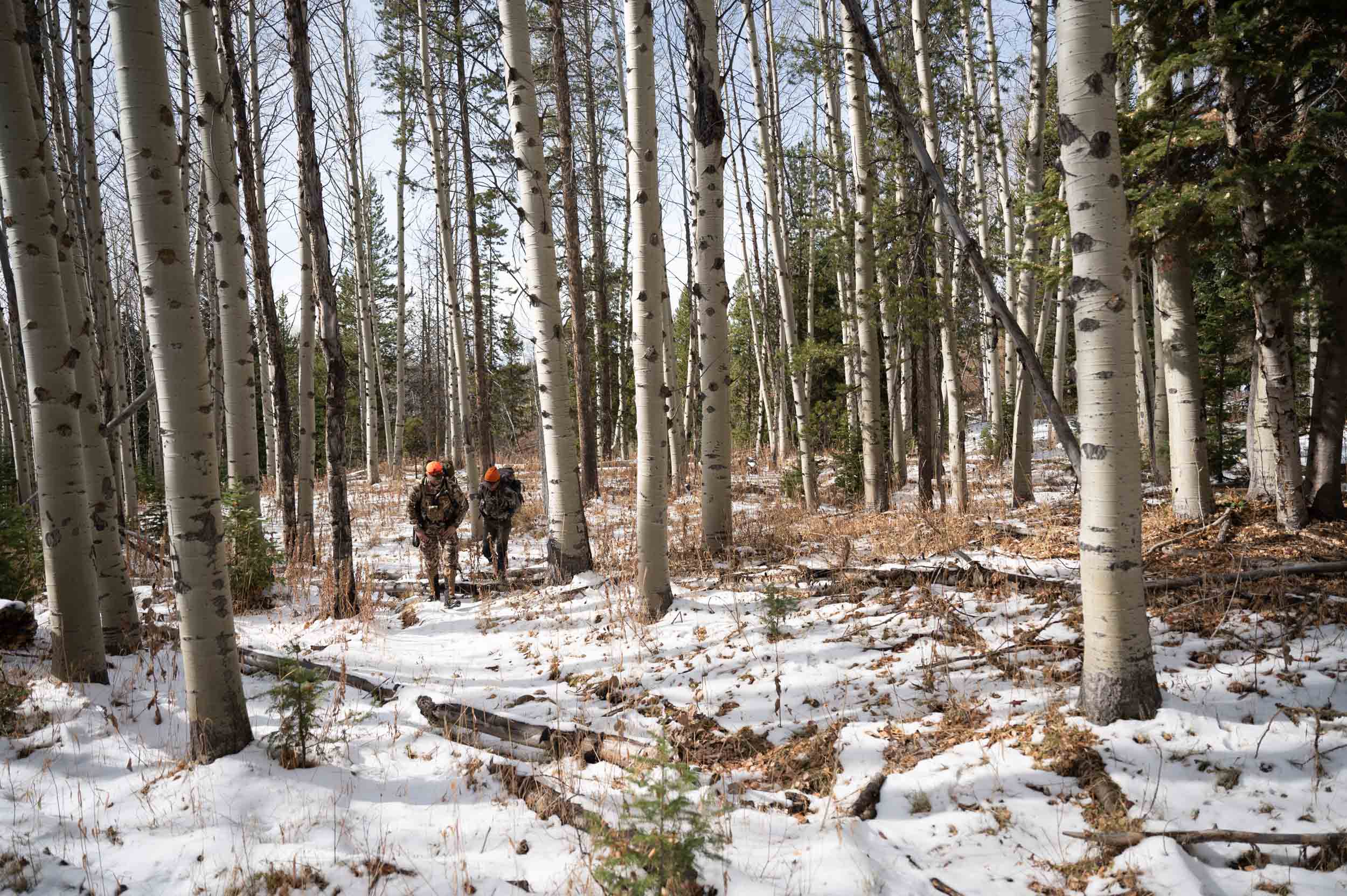 ElkHunt-011