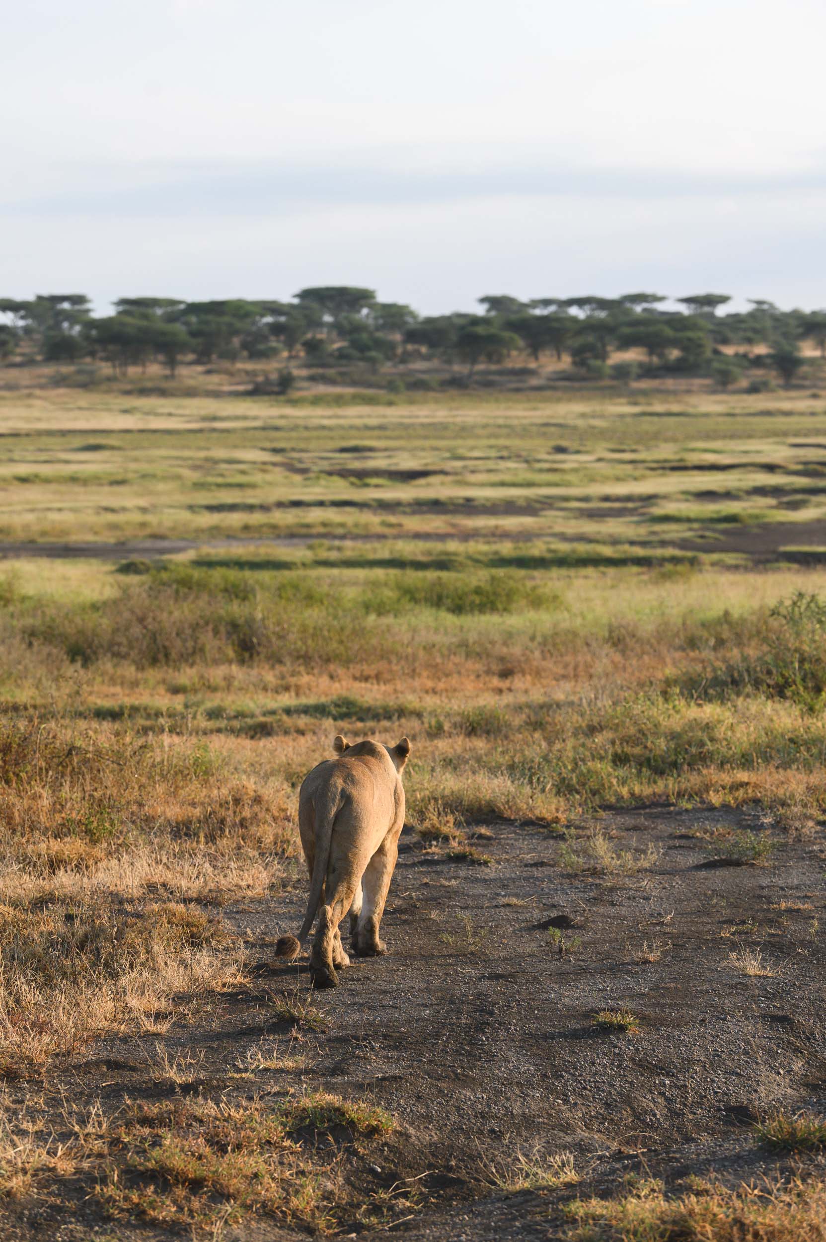 Travel23-Africa-029