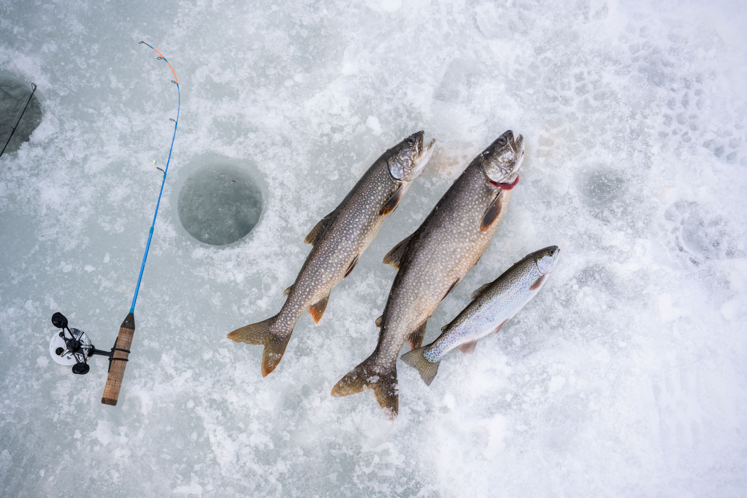 WOT_IceFish-00205